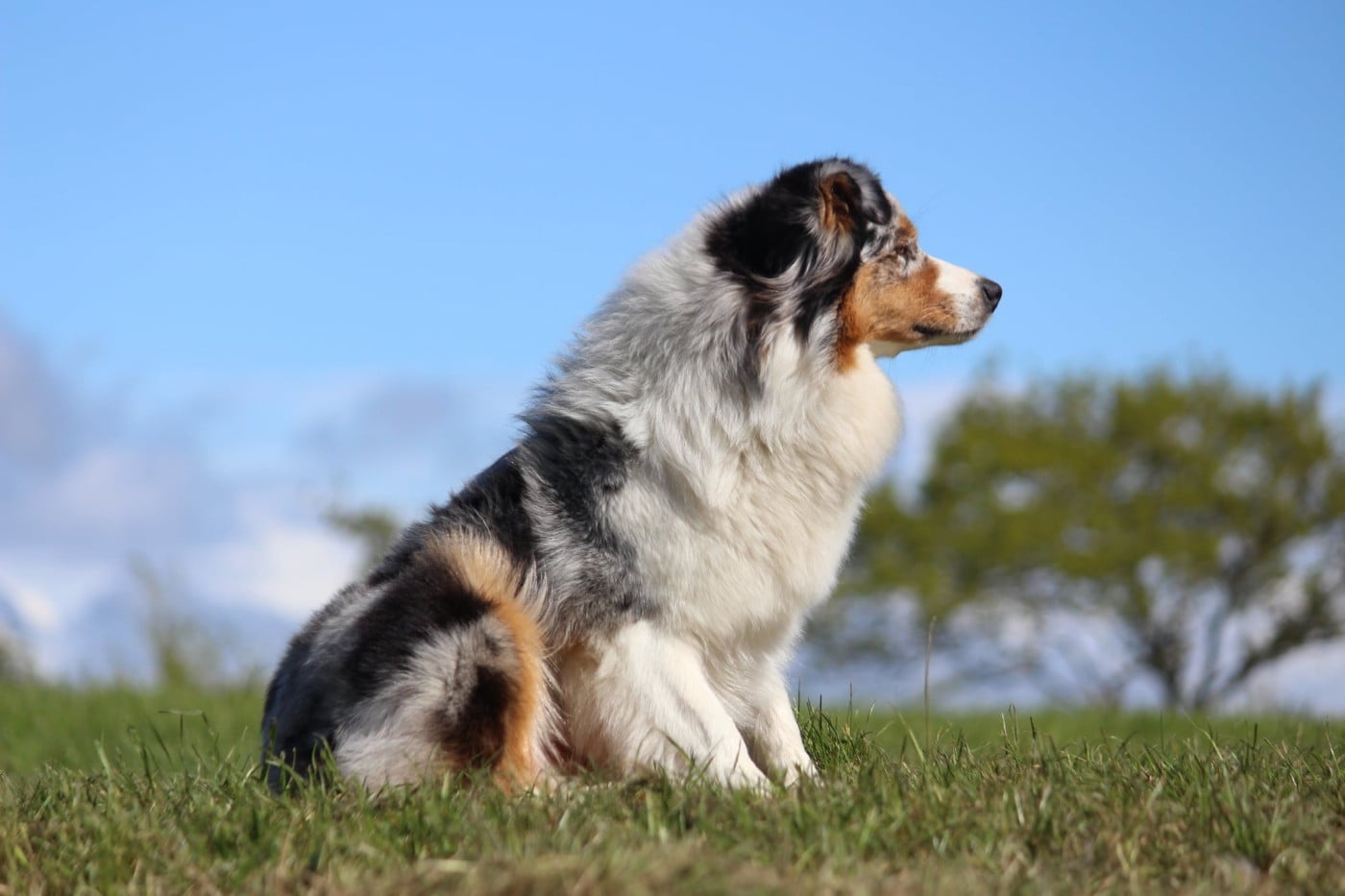 VOICE IN THE DARK Of Blue Highway