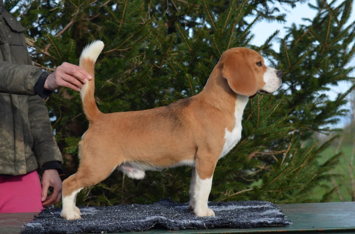 Virage à fond Des Chasseurs Du Temps