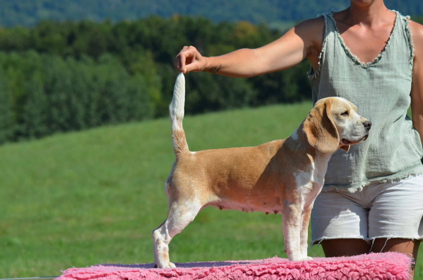 Rookie of the year Des Chasseurs Du Temps