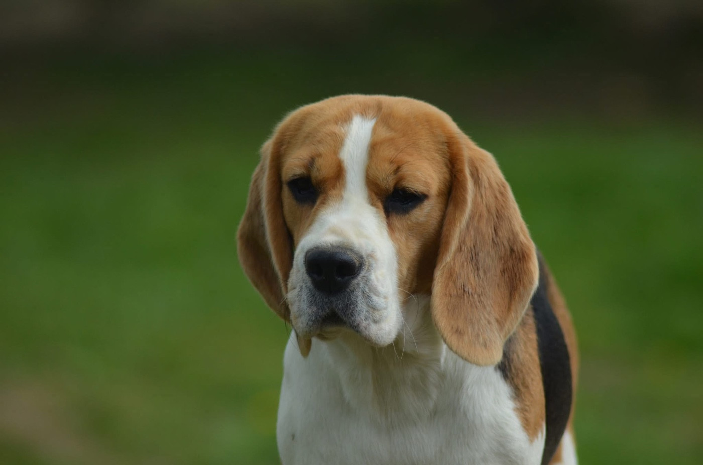 Publication : Des Gardiens D'Alma