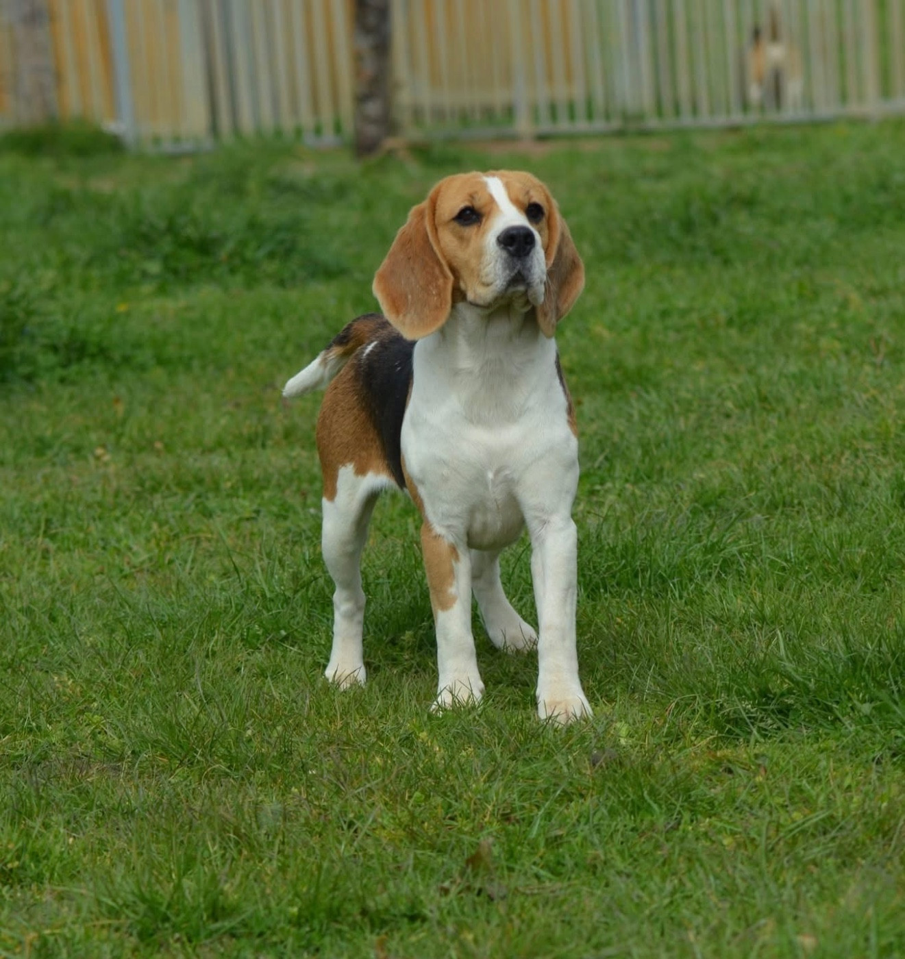 Publication : Des Gardiens D'Alma