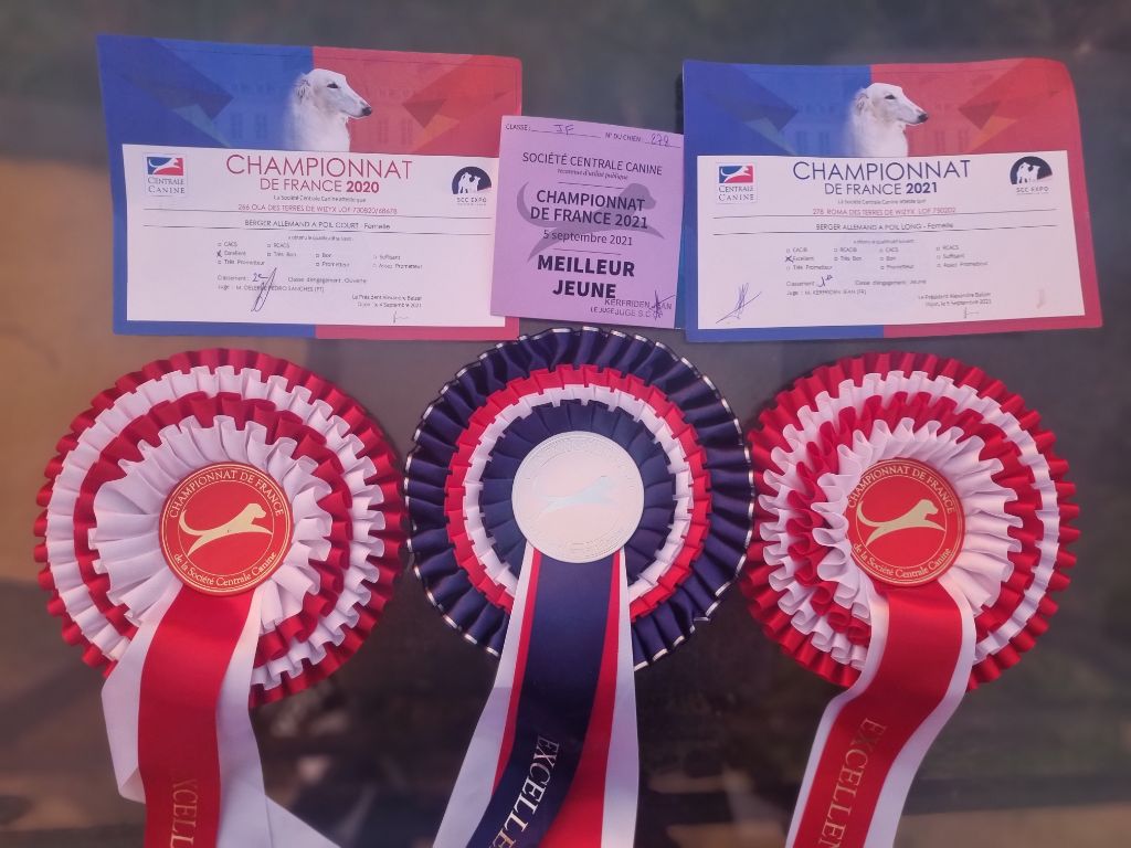 Ola Des Terres De Wizyx - 2ème Excellente (V2)