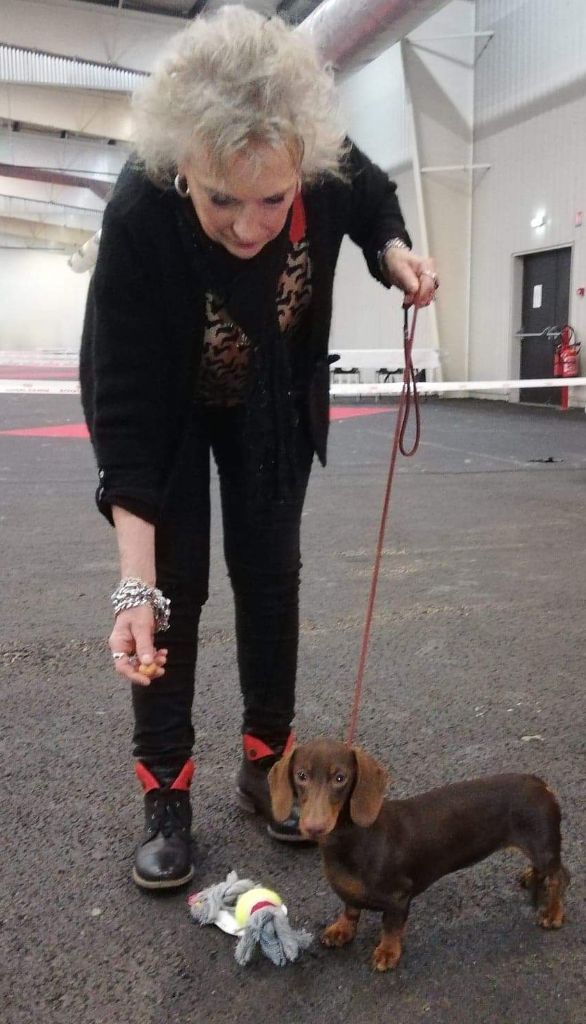 Pancake De la légende du white fang - 1ere Très prometteur, Meilleur puppy, ring d'honneur