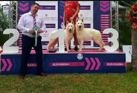 Nizza'n la bella Du Mont De Sène - Excellent, meilleur jeune, meilleur de race, meilleur paire