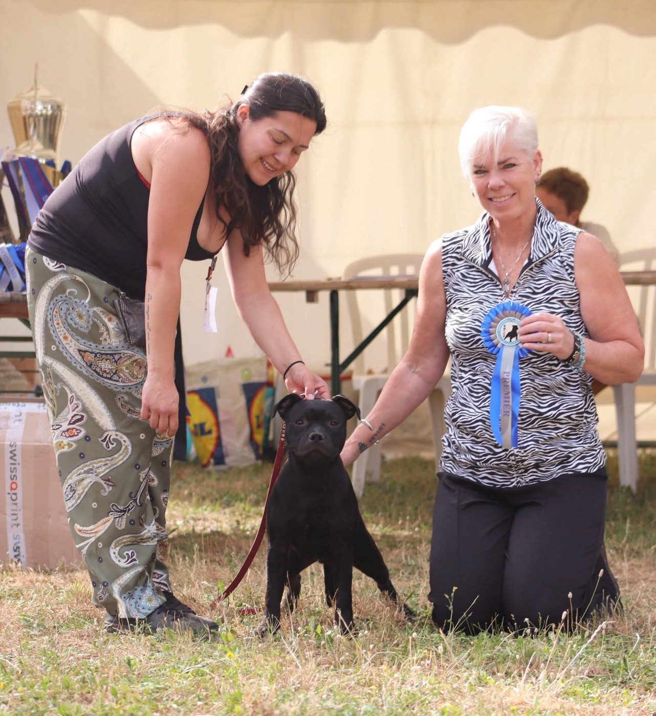 Jch. Vicious circle King Of Caribs - 1er Très prometteur (Puppy)