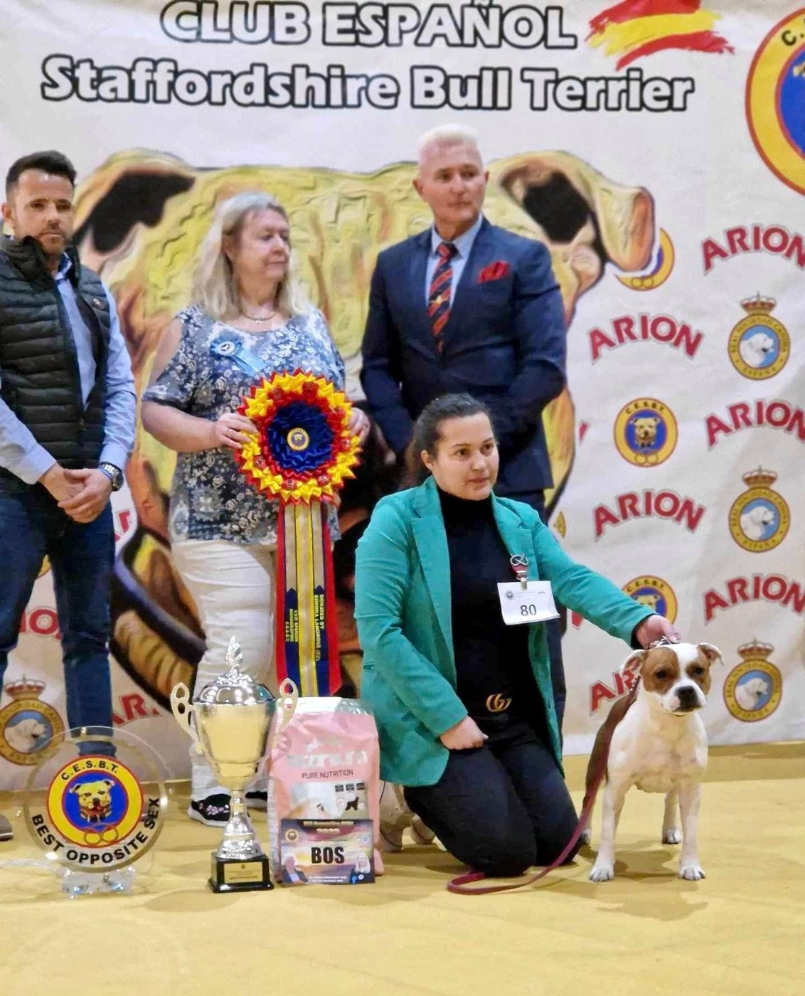 CH. Jch. the queen-of game Sweet Dream Stafford - 1er, Excellent, CAC, BOS (Inter)