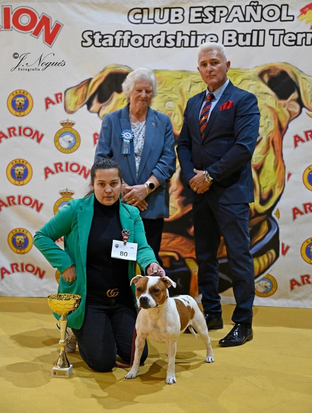 CH. Jch. the queen-of game Sweet Dream Stafford - 1er, Excellent, RCAC (Inter)