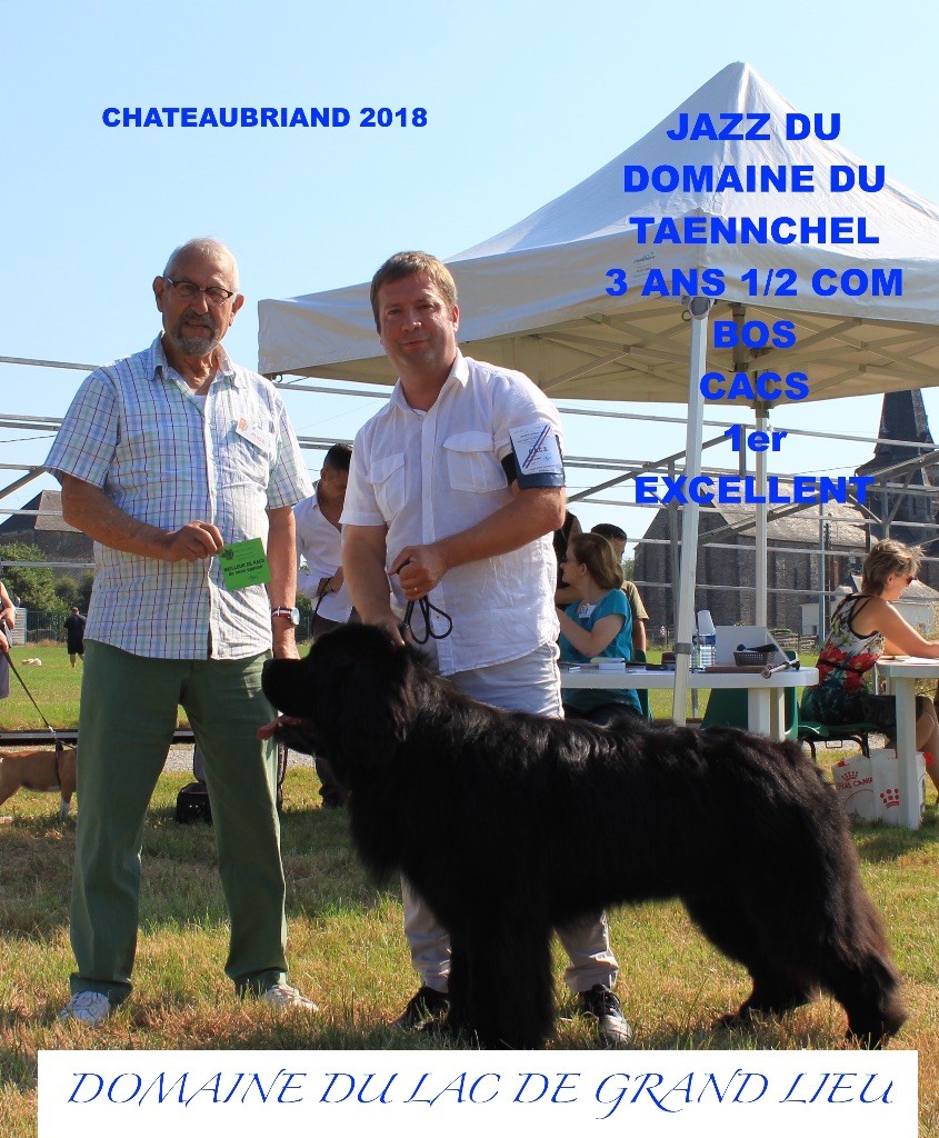 Jazz du domaine du Taennchel - 1 er excellent CACS - BOS