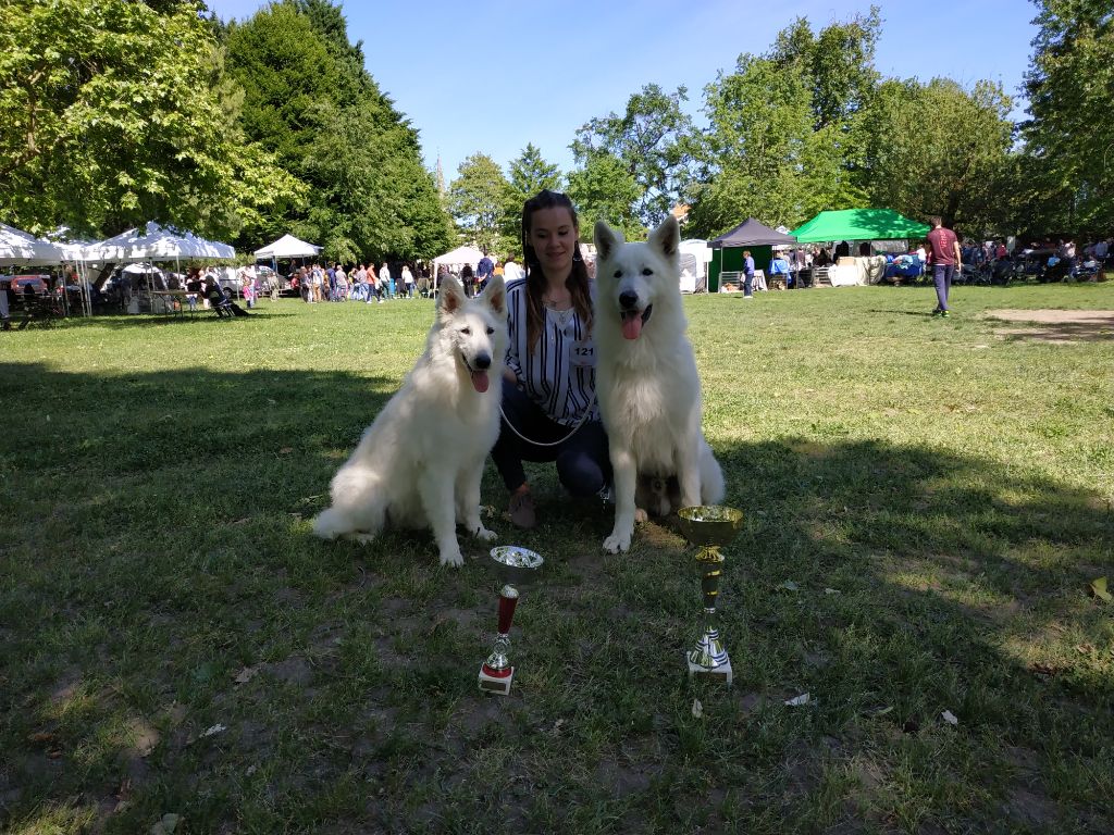 Publication : du Domaine des Gladiateurs