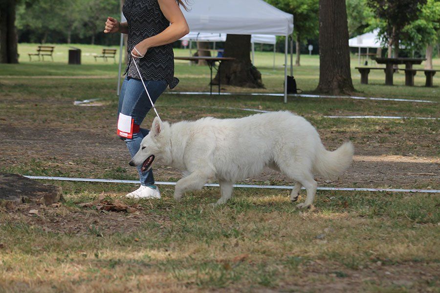 Publication : du Domaine des Gladiateurs