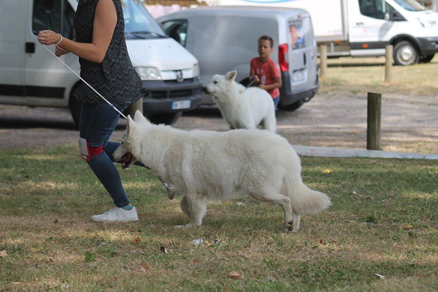 Publication : du Domaine des Gladiateurs