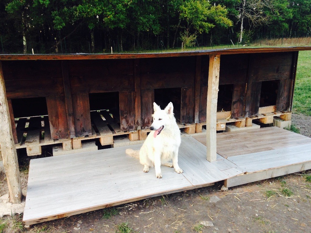 Publication : du Domaine des Gladiateurs