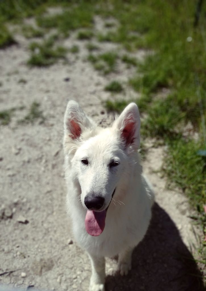 Publication : du Domaine des Gladiateurs