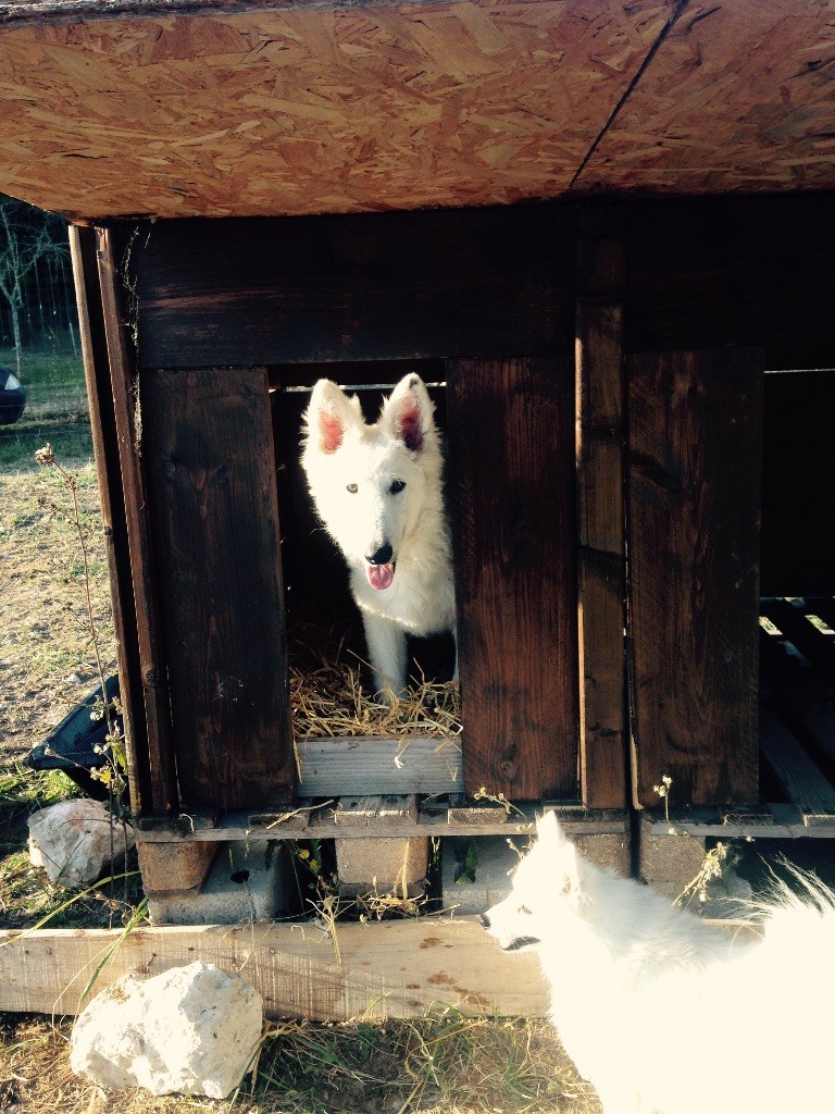 Publication : du Domaine des Gladiateurs