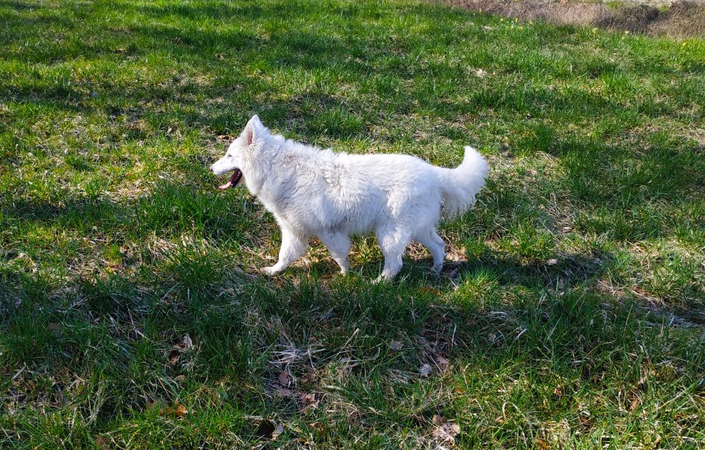 Publication : du Domaine des Gladiateurs