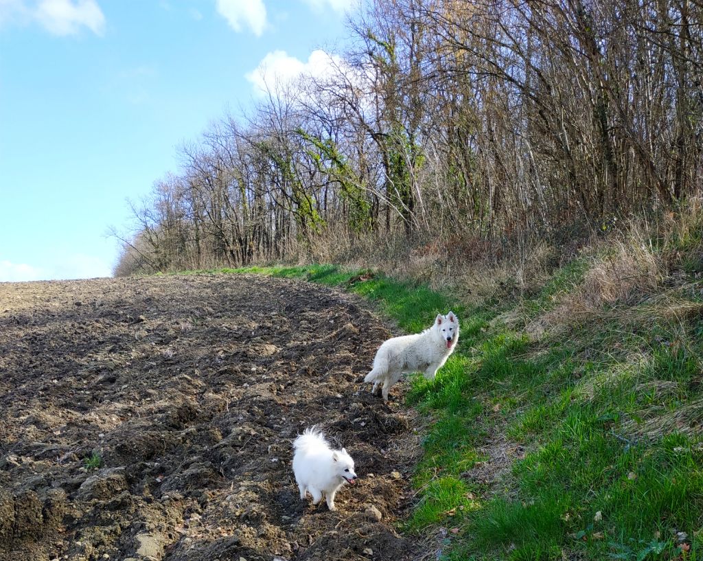 Publication : du Domaine des Gladiateurs