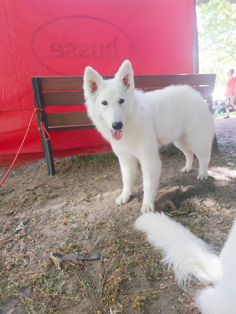 Publication : du Domaine des Gladiateurs