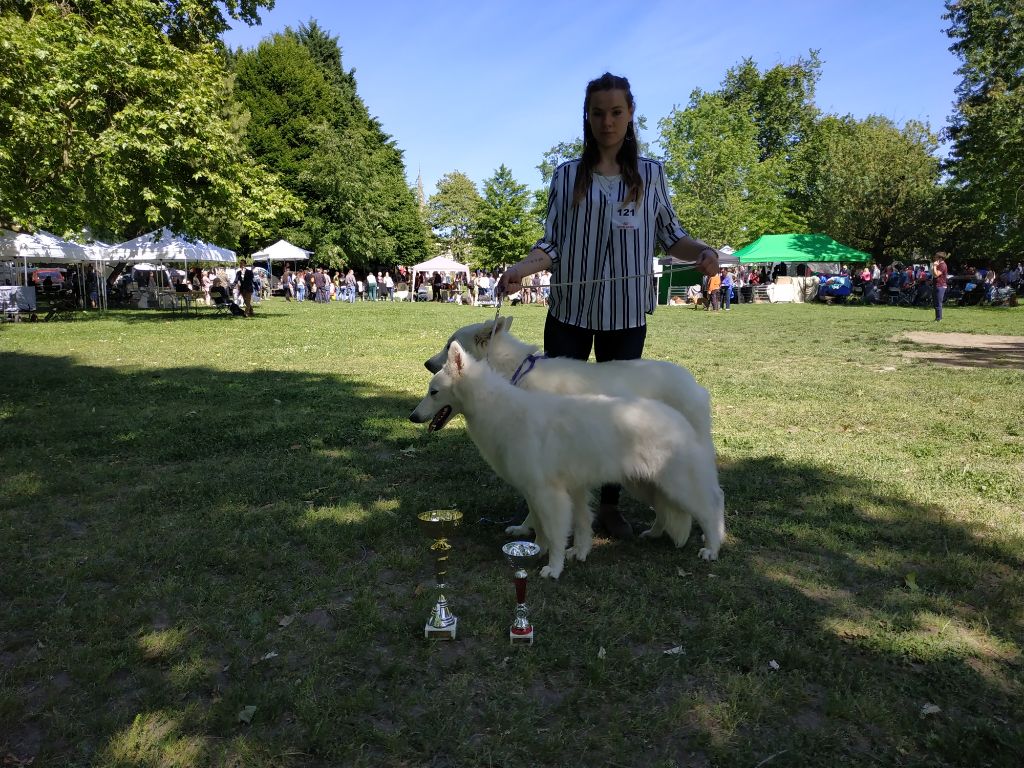 Publication : du Domaine des Gladiateurs