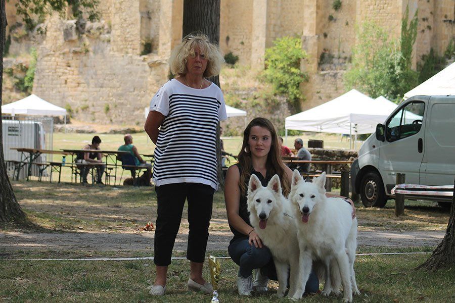 Publication : du Domaine des Gladiateurs