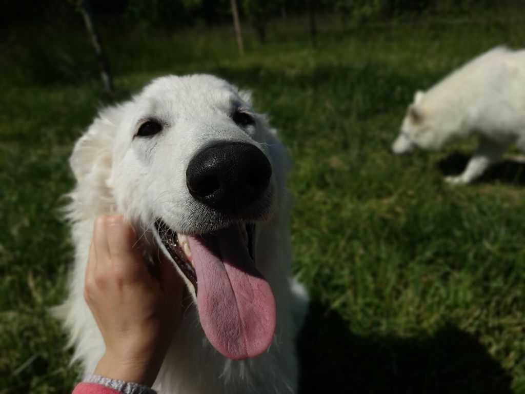 Publication : du Domaine des Gladiateurs