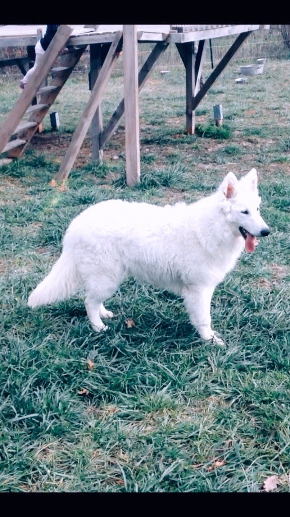 Publication : du Domaine des Gladiateurs