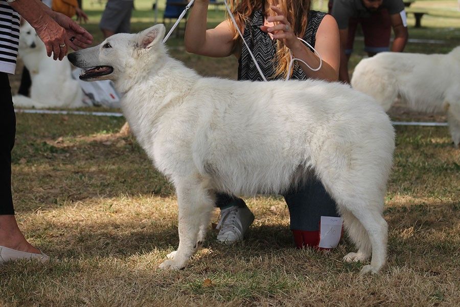 Publication : du Domaine des Gladiateurs