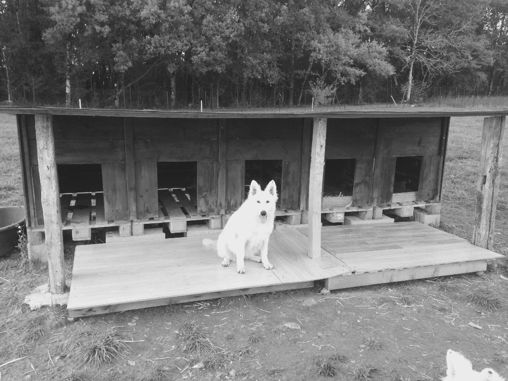 Publication : du Domaine des Gladiateurs