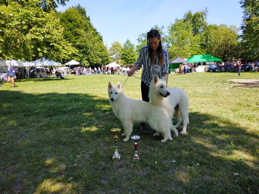 Publication : du Domaine des Gladiateurs