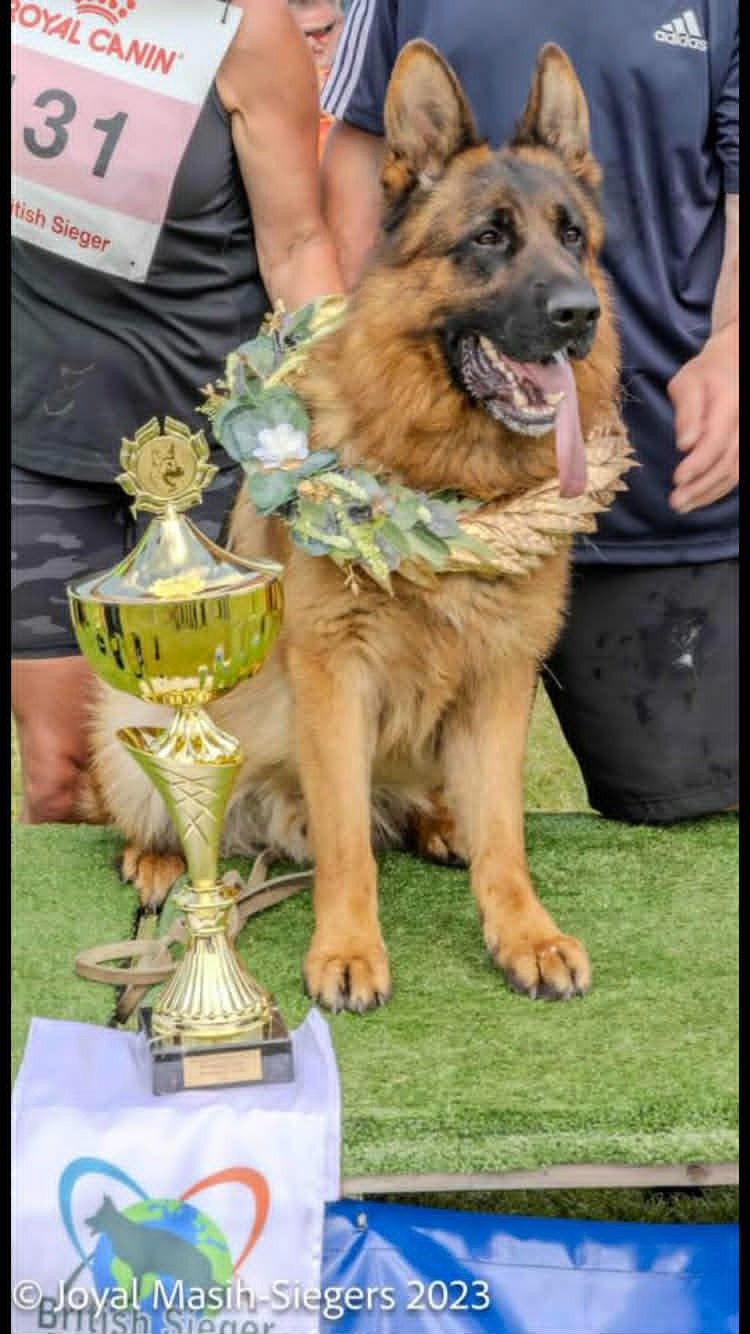RENO de la Petite Laeticia