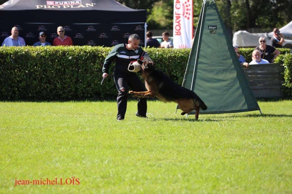 CH. Bleddyn vom wanakon