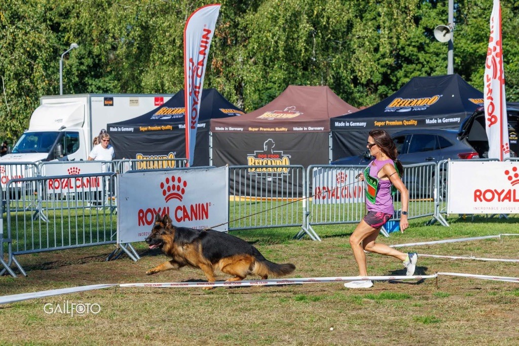 CH. Bleddyn vom wanakon