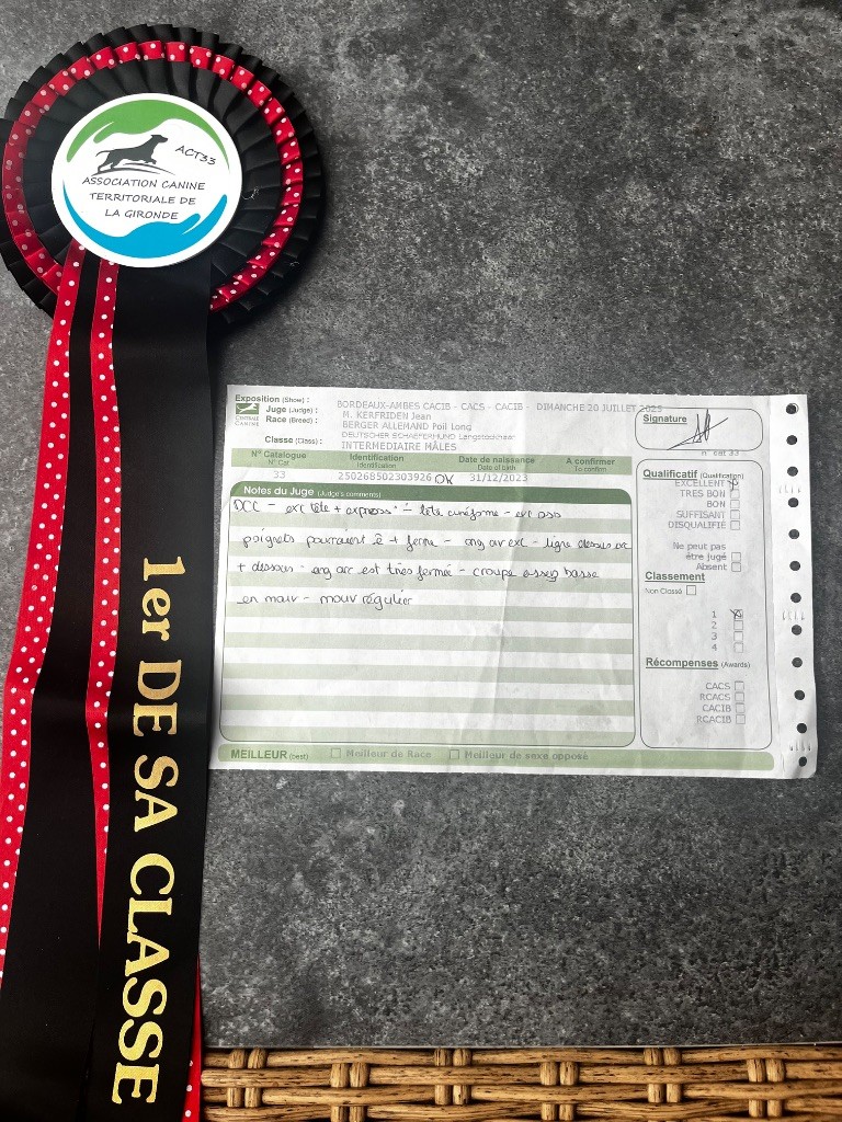 Usher De L'Etoile Chanceuse - 1er EXCELLENT