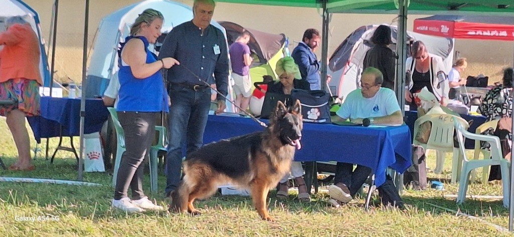 Usher De L'Etoile Chanceuse - 1er EXCELLENT RCACS