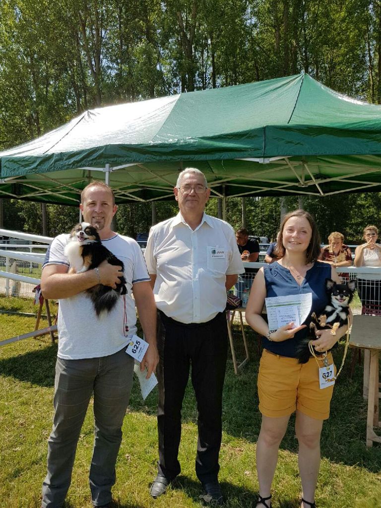 Opium star Du Domaine Des Thibouw D'Argent - Meilleur de race