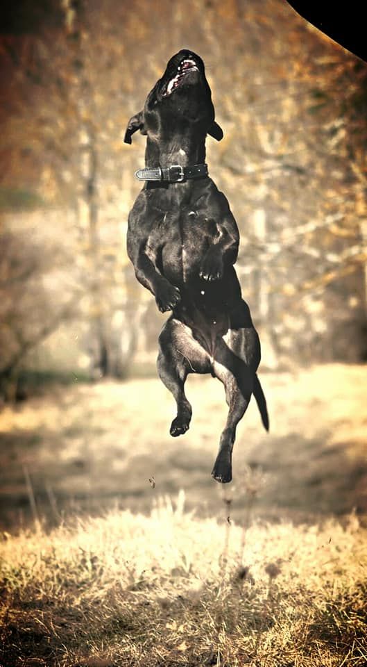 Publication : Color'inca Project Auteur : Lola Salazar