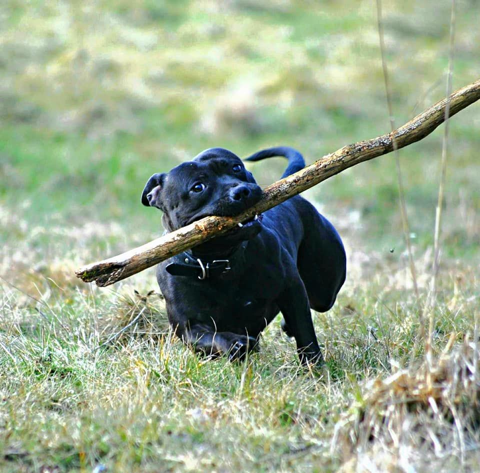 Publication : Color'inca Project Auteur : Lola Salazar