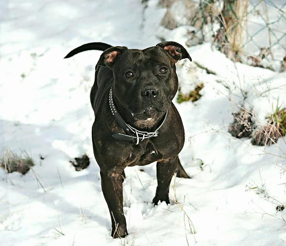 Publication : Color'inca Project Auteur : Lola Salazar