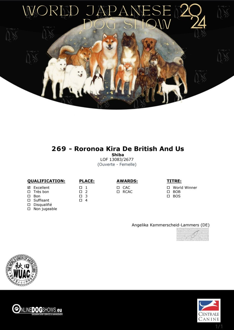 Roronoa kira de British and Us - excellent