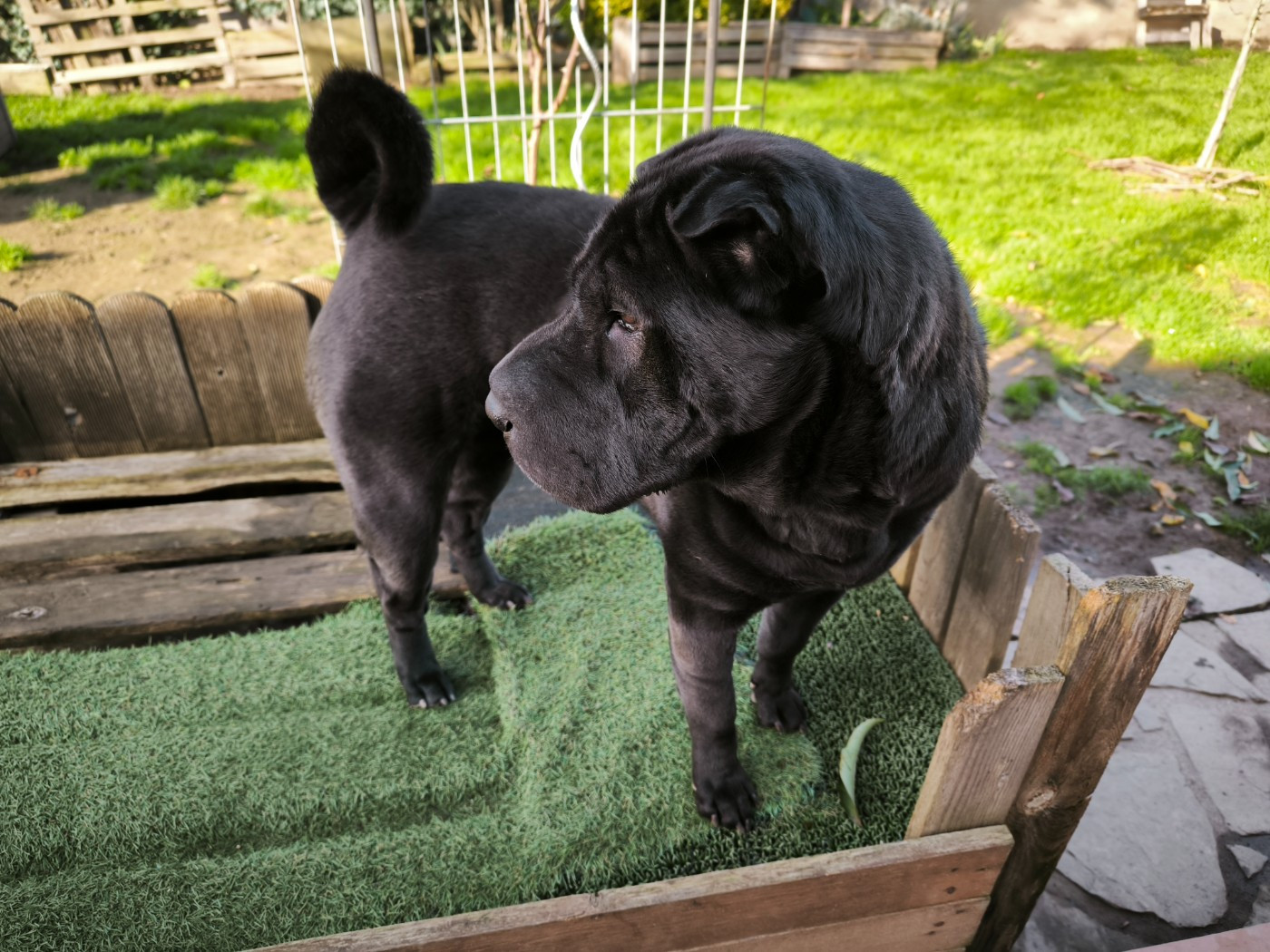 Publication : Des Terres Ancestrales Auteur : Martial DUMONTIER-ELIE