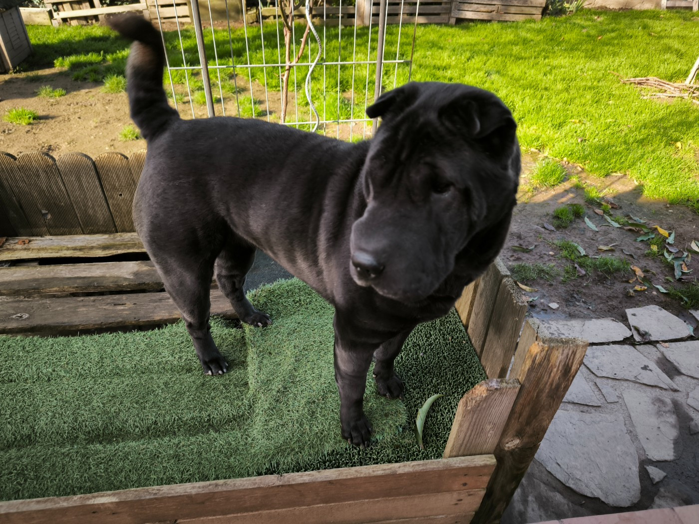 Publication : Des Terres Ancestrales Auteur : Martial DUMONTIER-ELIE