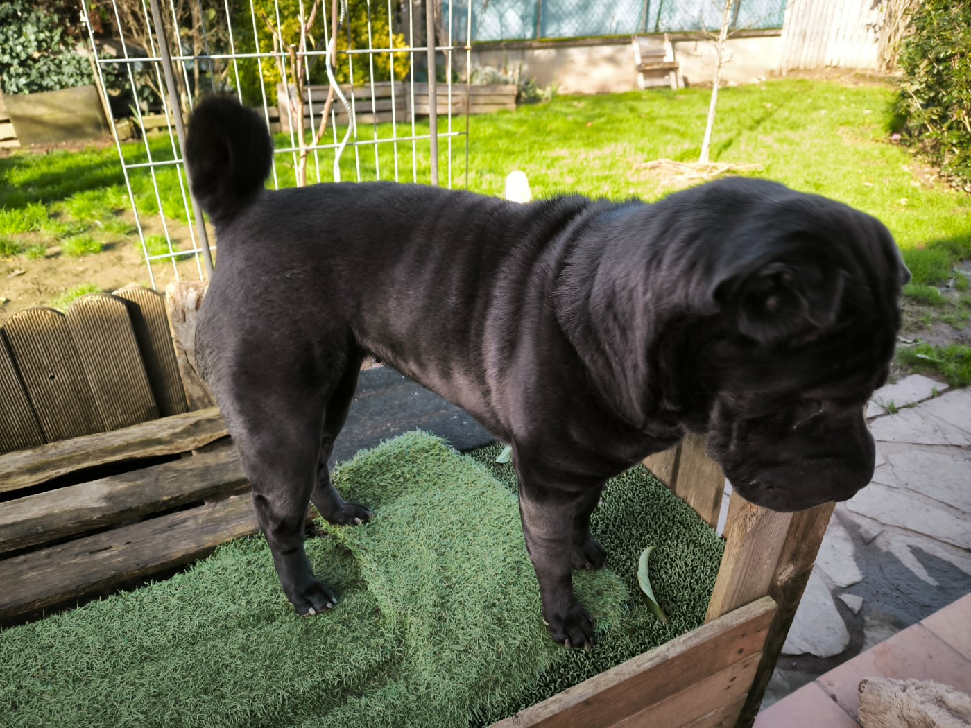 Publication : Des Terres Ancestrales Auteur : Martial DUMONTIER-ELIE