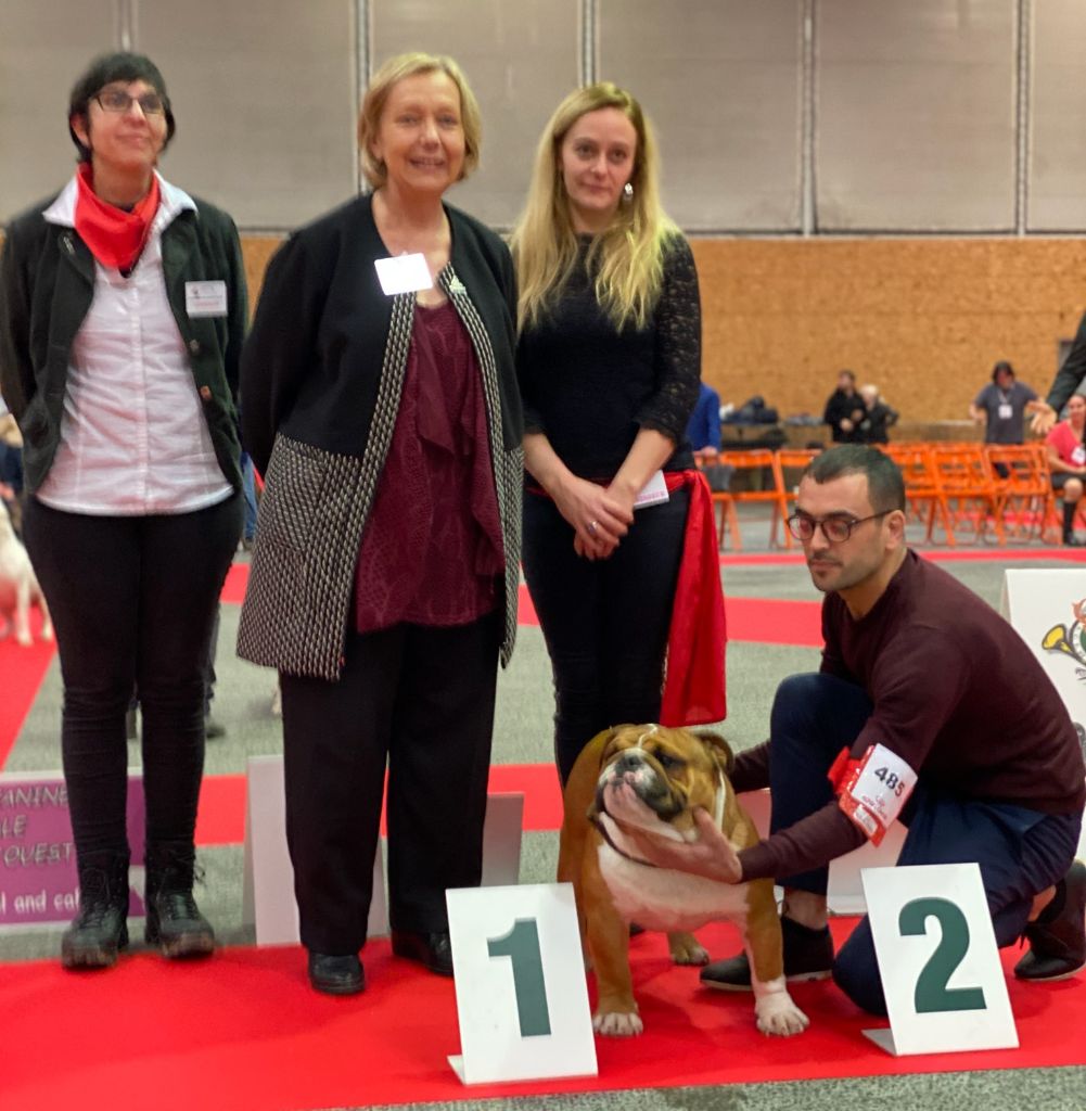 Publication : Luso Bull King Dog Auteur : Oscar