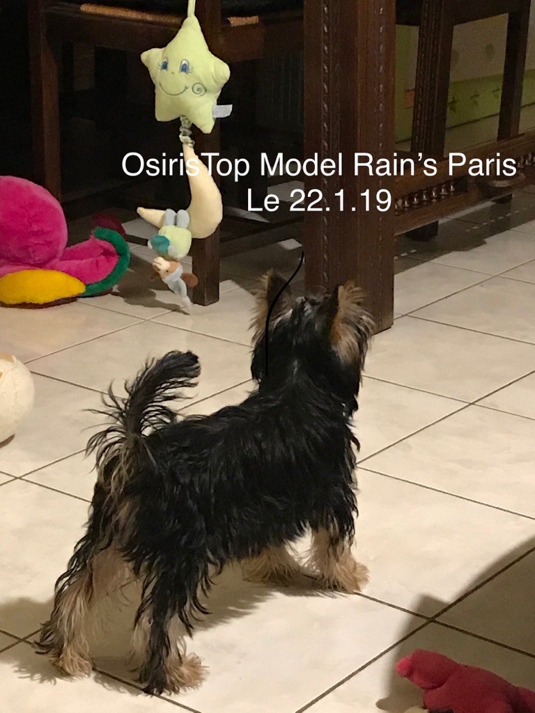 Publication : Rain’s Paris  Auteur : Moi