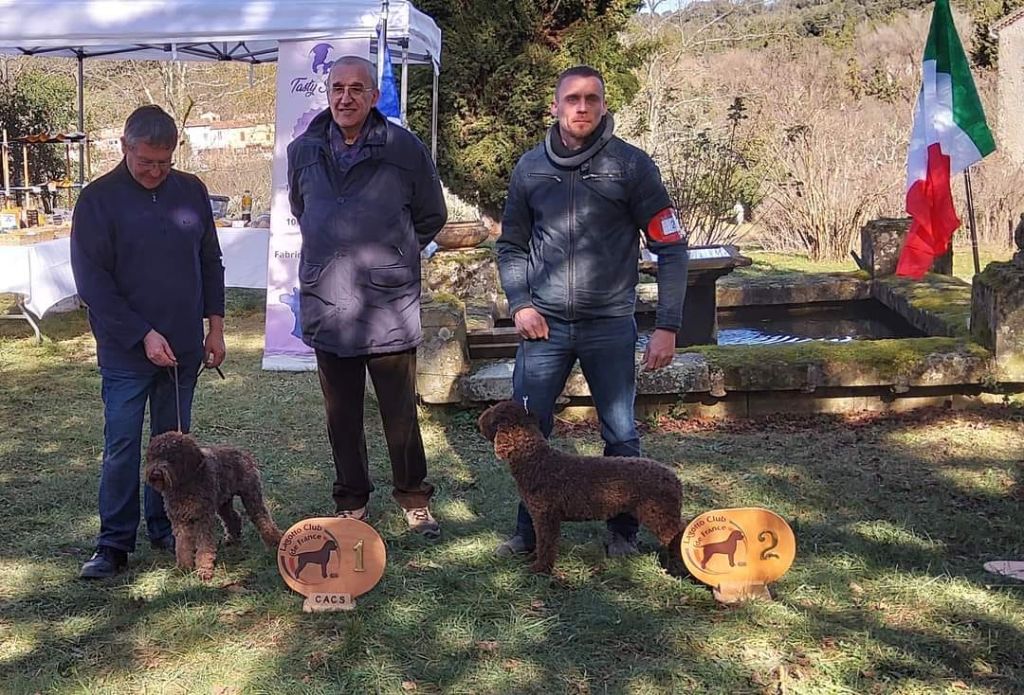 Pandora delle buche fonde - 2eme meilleure Jeune Femelle
