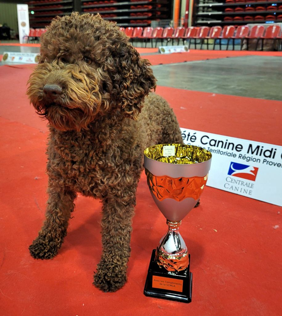 Pandora delle buche fonde - 2eme Meilleure Jeune du groupe 8, Meilleure Jeune, CACS Jeune