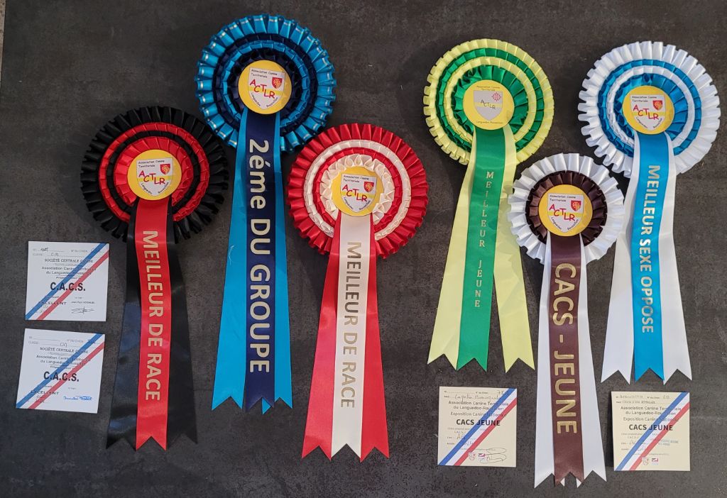 Pandora delle buche fonde - Meilleure Jeune - CACS Jeune