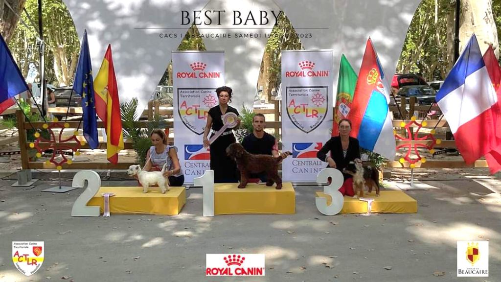 Pandora delle buche fonde - Best in show