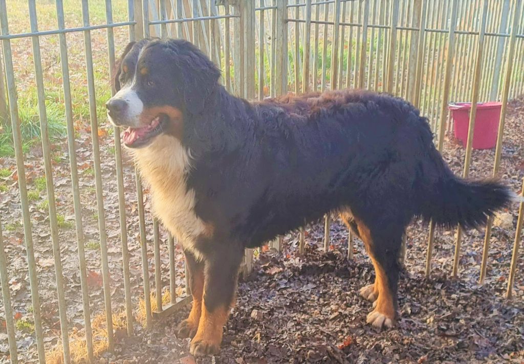 Publication : du Paradis du Domaine du Bouquet