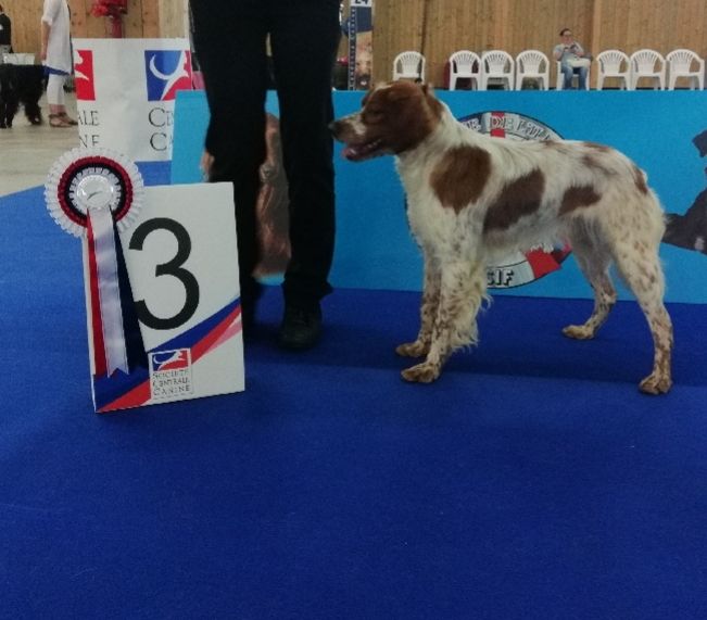 Narco de lan bern - 3ème excellent