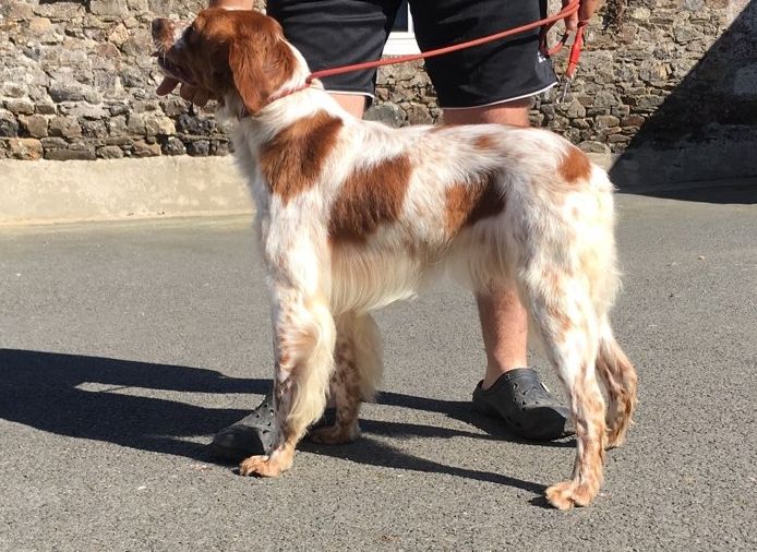 Narco de lan bern - Excellent